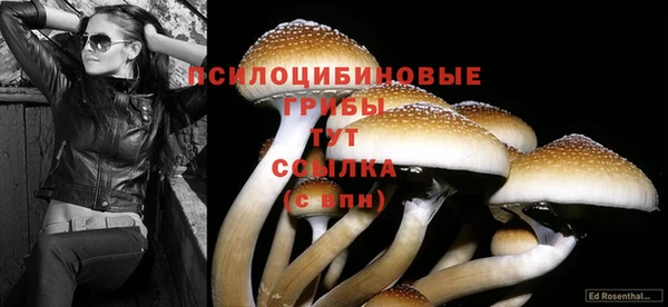 гашиш Алзамай